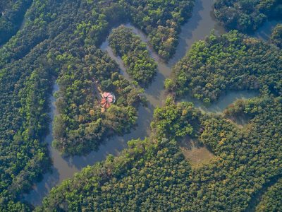 Bhawal National Park